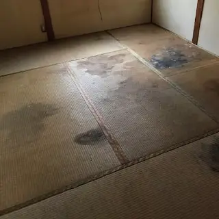シミ・劣化した畳